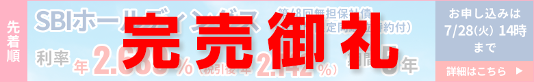 �r�a�h�z�[���f�B���O�X������Б�48�񖳒S�ێЍ�