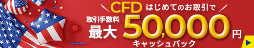 CFDプログラム