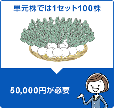 単元株では1セット100株→50,000円が必要