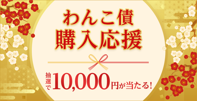 10,000~I񂱍wLy[