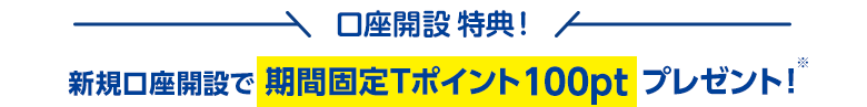 口座開設特典!新規口座開設で期間固定Tポイントプレゼント!