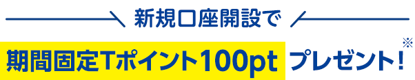 新規口座開設で期間固定Tポイント100ptプレゼント!