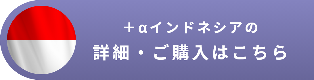 +aインドネシア