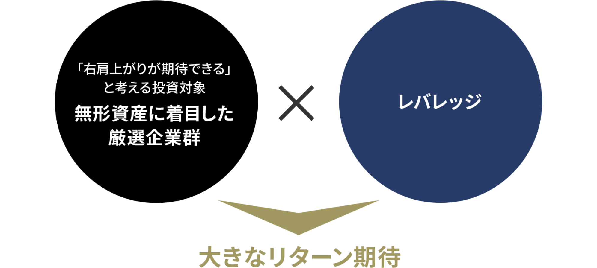 大きなリターン期待