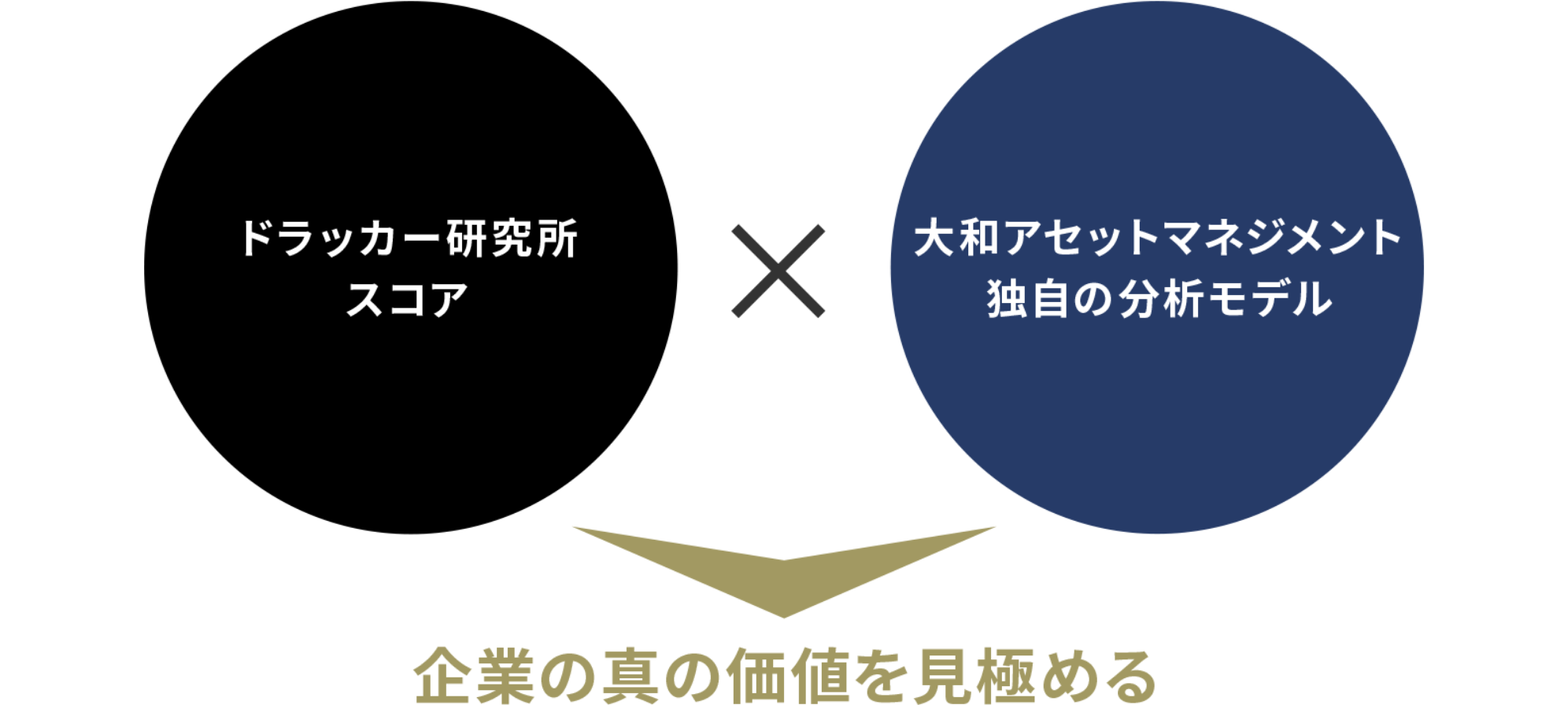 収益の源泉として投資対象に適した独自の分析モデルを組み合わせる