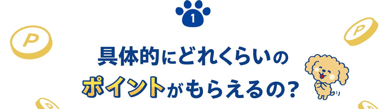 具体的にどれくらいポイントがもらえるの？