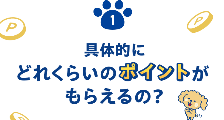 具体的にどれくらいポイントがもらえるの？