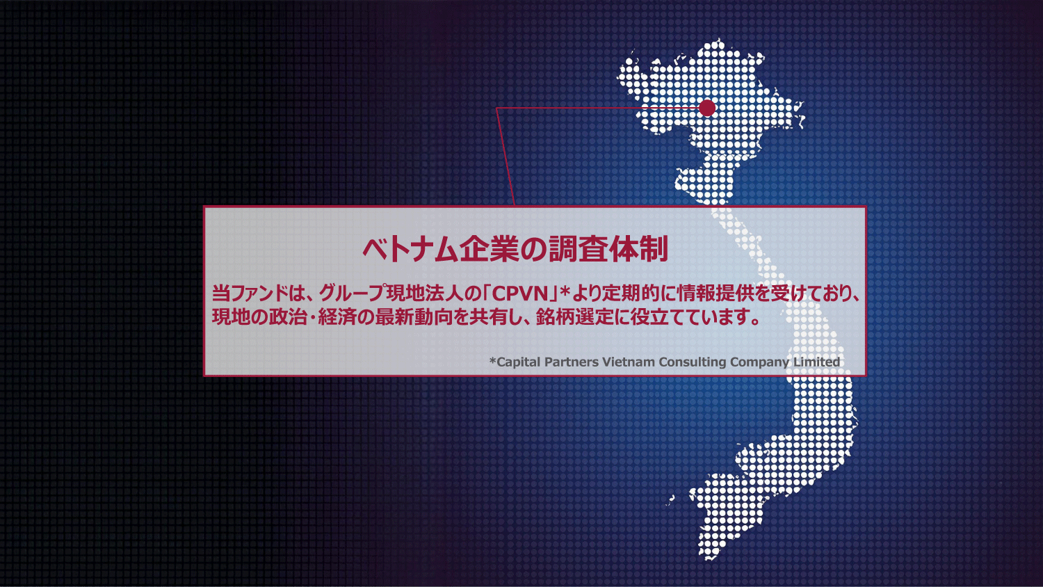 ベトナム企業の調査体制