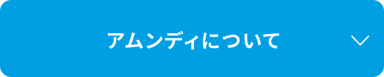 アムンディについて