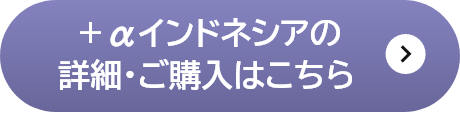 ＋αインドネシアの詳細はこちら