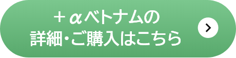 ＋αベトナムの詳細はこちら