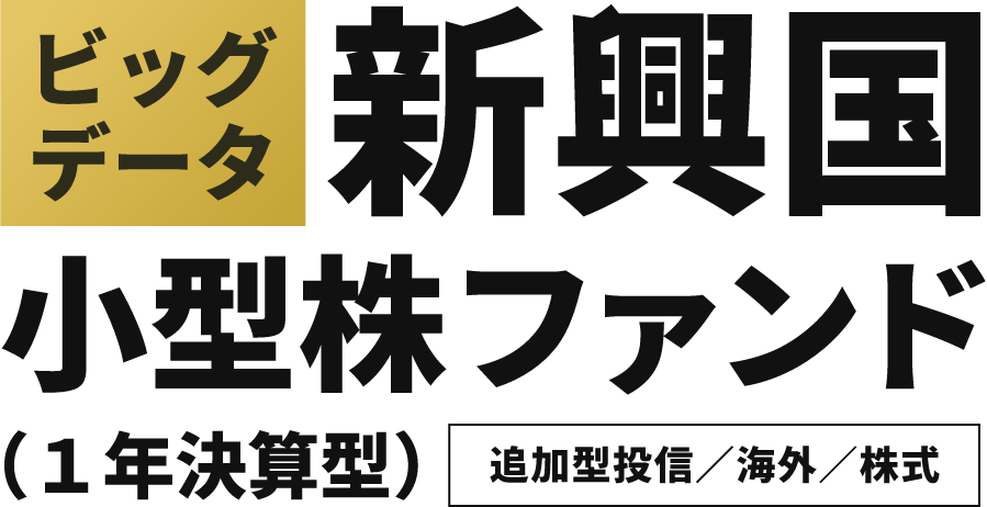 ビッグデータ新興国小型株ファンド（1年決算型）追加型投信／海外／株式