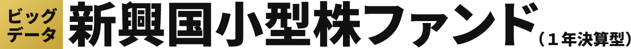 ビッグデータ新興国小型株ファンド（1年決算型）