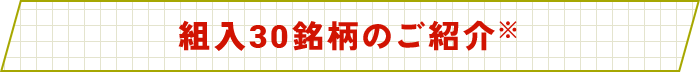 組⼊30銘柄のご紹介※