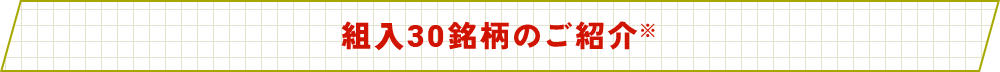 組⼊30銘柄のご紹介※