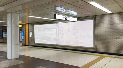 �s�c�n���S���w�r�b�O�{�[�h�L���i���w��k�ʘH�ǖʂɐݒu���ꂽ��^�L���j