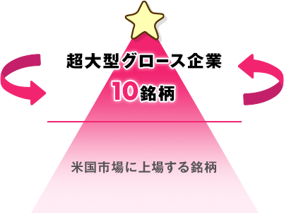 超大型グロース企業10銘柄と米国市場に上場する銘柄