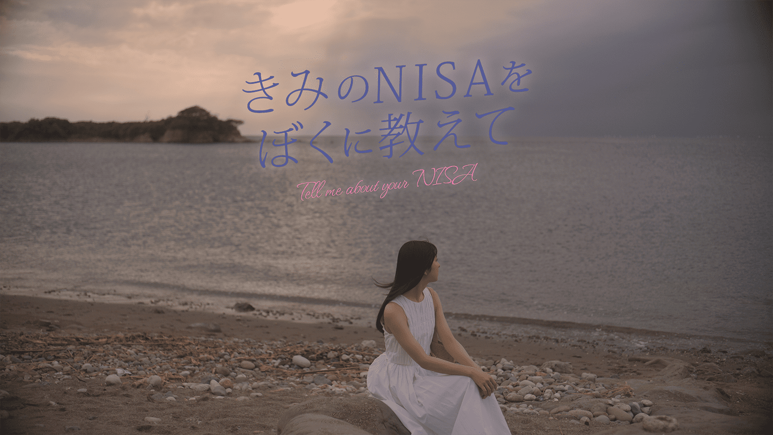 きみのNISAをぼくに教えて