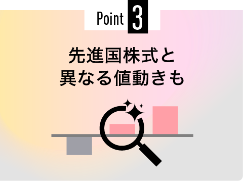 Point3　先進国株式と異なる値動きも