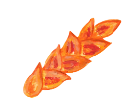 麦の穂のイラスト