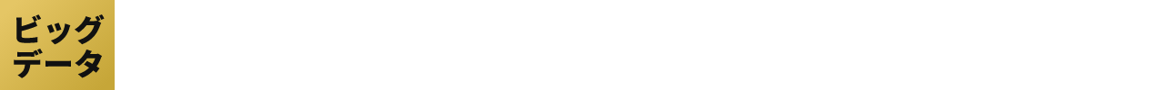 ビッグデータ新興国小型株ファンド（1年決算型）