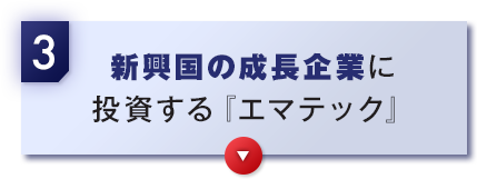 3 新興国の成長企業に投資する『エマテック』