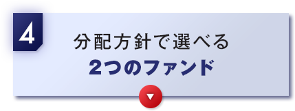 4 分配方針で選べる2つのファンド