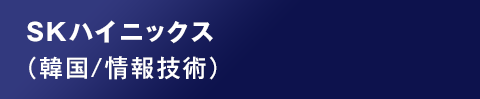 SKハイニックス（韓国/情報技術）