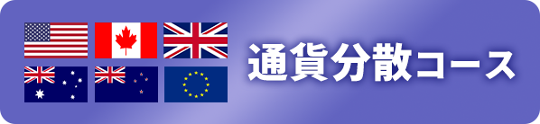 通貨分散コース