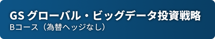 GS グローバル・ビッグデータ投資戦略 Bコース（為替ヘッジなし）