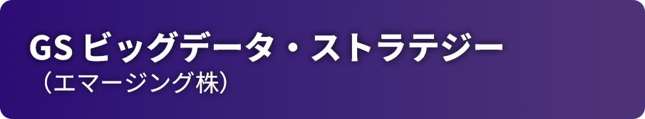 GS ビッグデータ・ストラテジー （エマージング株）