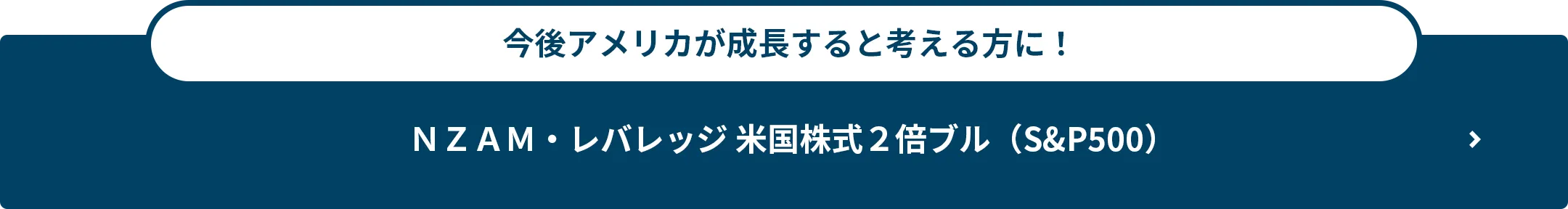 今後アメリカが成長すると考える方に！ＮＺＡＭ・レバレッジ 米国株式２倍ブル（S&P500）