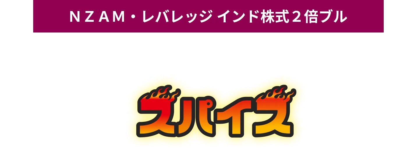 NZAM・レバレッジ インド株式２倍ブル インド株式×レバレッジ2倍で あなたの投資にスパイスをプラス！