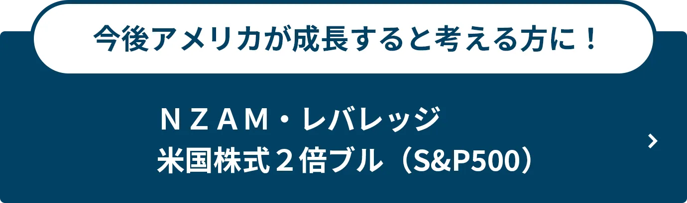 今後アメリカが成長すると考える方に！ＮＺＡＭ・レバレッジ 米国株式２倍ブル（S&P500）